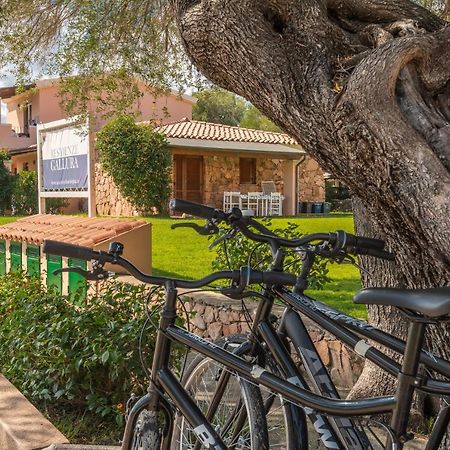 Residenze Gallura Daire San Teodoro  Dış mekan fotoğraf